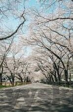 大象传媒18勿秘密入口-探索大象传媒18勿秘密入口，网络世界的隐秘花园
