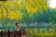 精品久久久久久无码人妻-探索网络世界的边界，理性审视精品久久久久久无码人妻现象