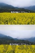 麻豆AV沈樵-麻豆AV沈樵现象背后的社会与道德反思