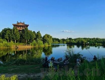 麻豆传媒介绍-麻豆传媒，数字时代的创意传播先锋