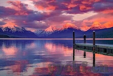 麻豆视频app官网版-揭秘互联网新宠，麻豆视频app官网版——视听盛宴的深度体验