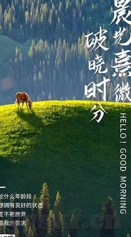 糖心app免费下载无会员-免费解锁糖心app，无需会员即可尽享精彩